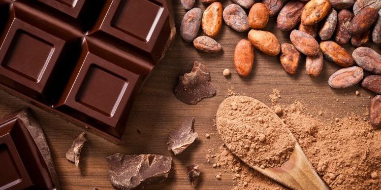 chocolate from the rainforest