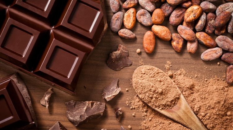 chocolate from the rainforest